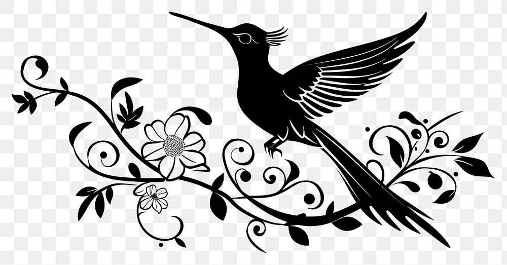 PNG Divider doodle of hummingbird pattern animal black.