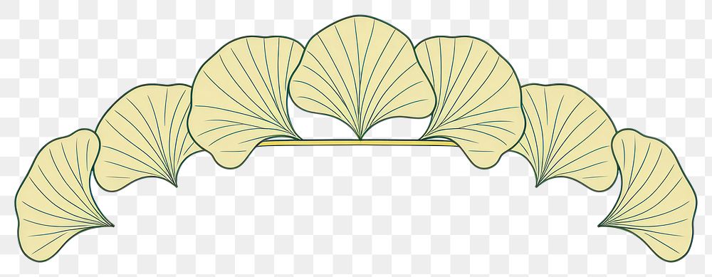 PNG Ornament divider ginkgo plant leaf art.