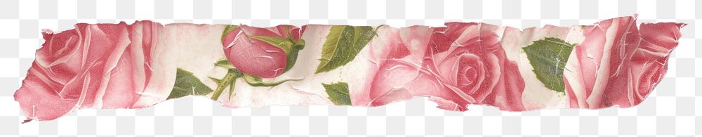PNG Horizontal rose pattern paper strip tape flower petal plant.