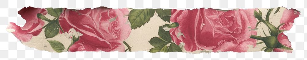 PNG Horizontal rose pattern paper strip tape plant leaf art