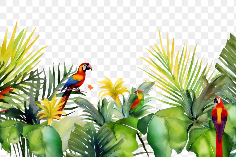PNG Tropical leaves and bird outdoors tropics nature.