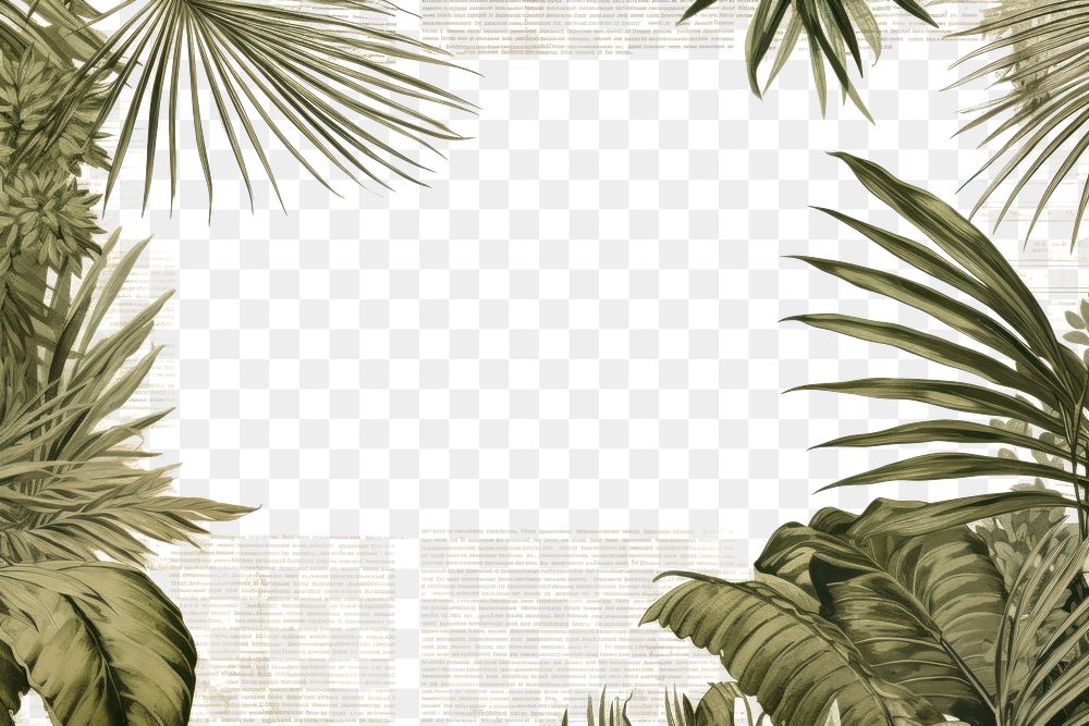 PNG Green palm leaves border backgrounds nature plant.