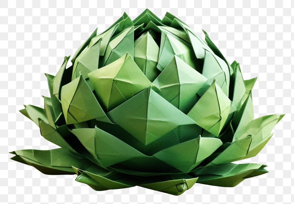 PNG Origami plant asterales proteales.