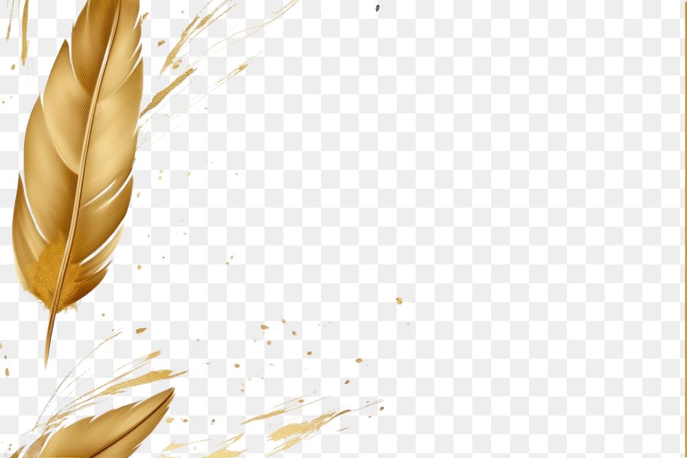 PNG  Feather border frame backgrounds line gold.