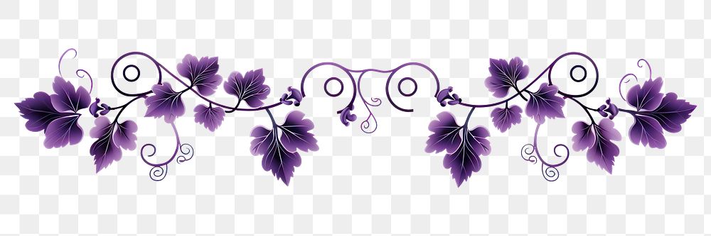 PNG Grape vine divider ornament pattern flower purple.