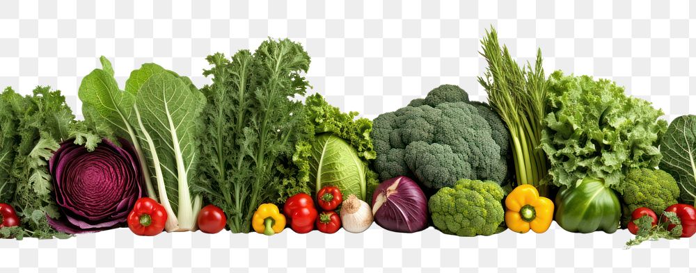 PNG Vegetable broccoli plant food.