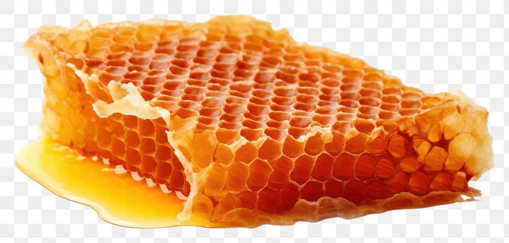 PNG Honey comb honeycomb food white background.