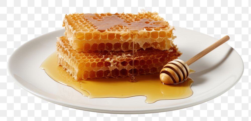 PNG Honey comb on plate honeycomb food apiculture.