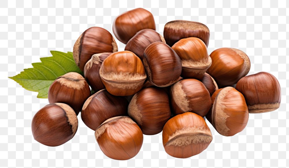 PNG Forest nuts hazelnuts plant food white background.