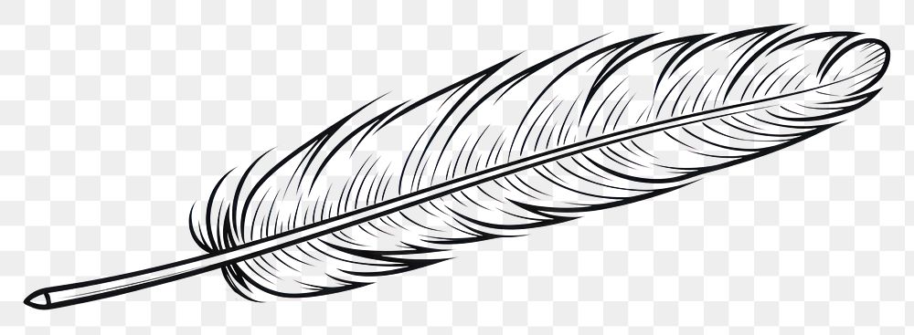 PNG Feather sketch drawing line.