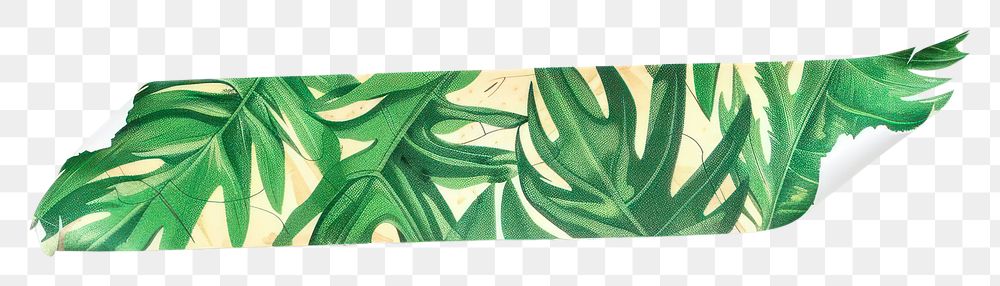 PNG Doodle cartoon leaf pattern adhesive strip plant white background accessories.