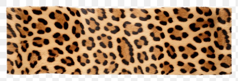PNG Leopard print pattern adhesive strip white background carnivora wildlife.