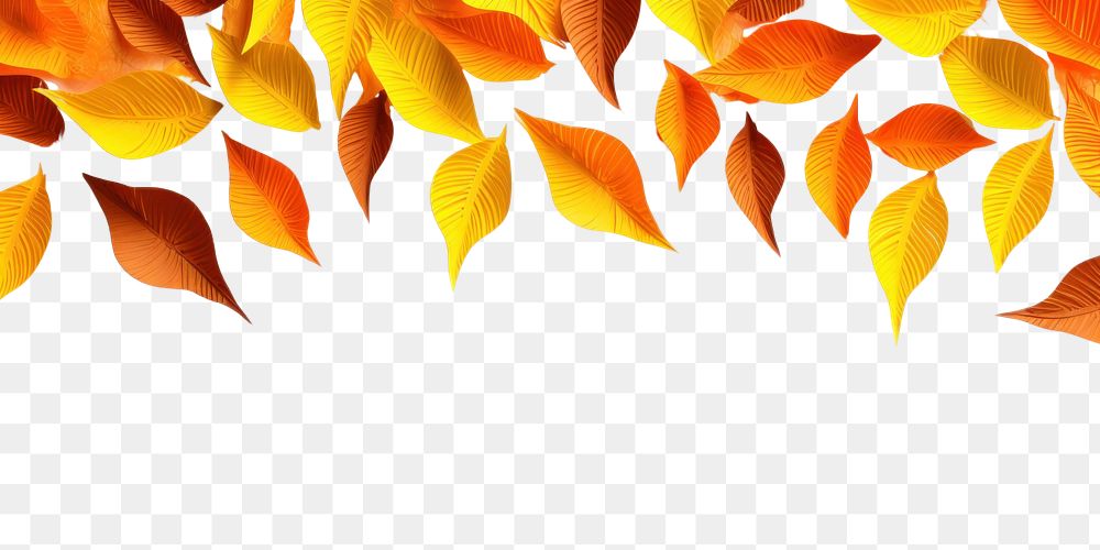 PNG  Autumn leaves border backgrounds pattern autumn.