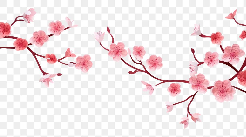 PNG  Cherry blossom border flower backgrounds petal.