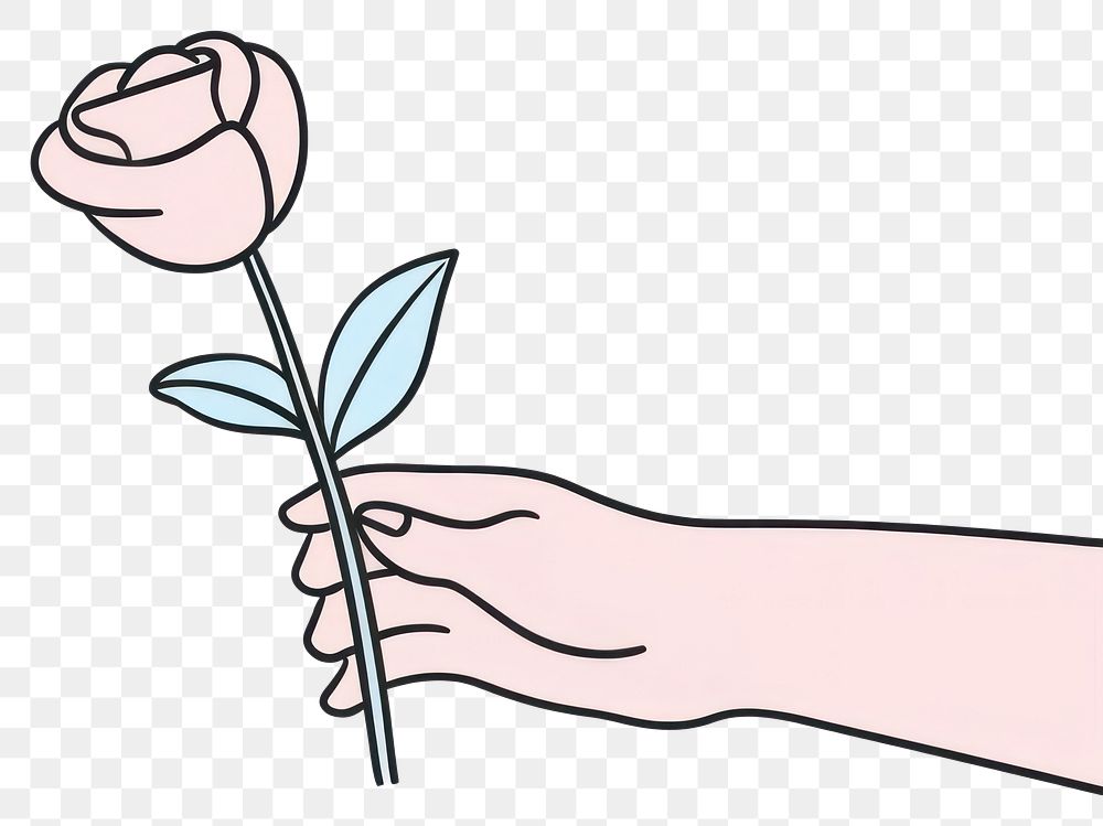 PNG Hand holding a flower drawing cartoon sketch.