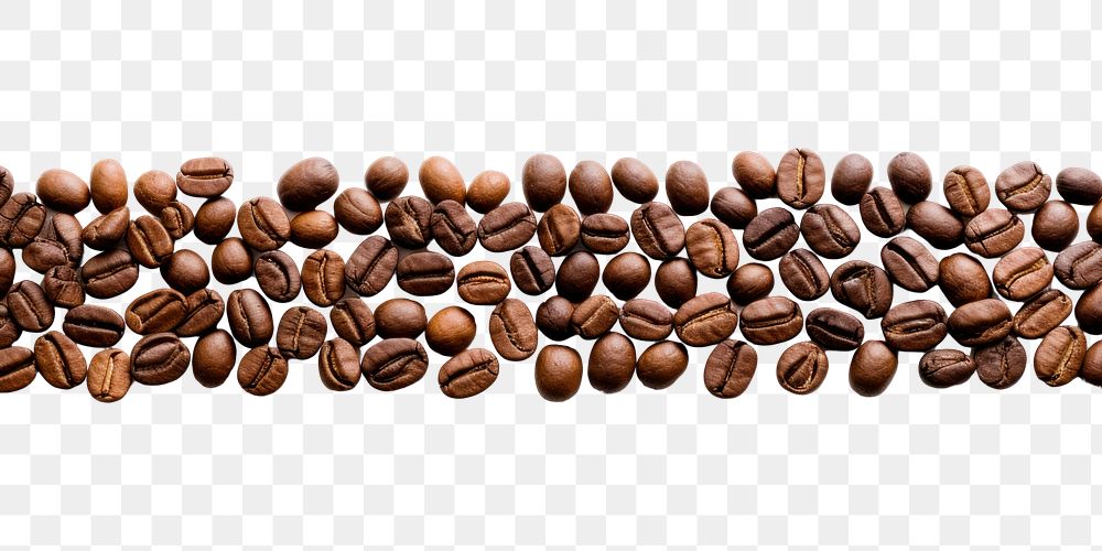 PNG Coffee beans backgrounds white background freshness.