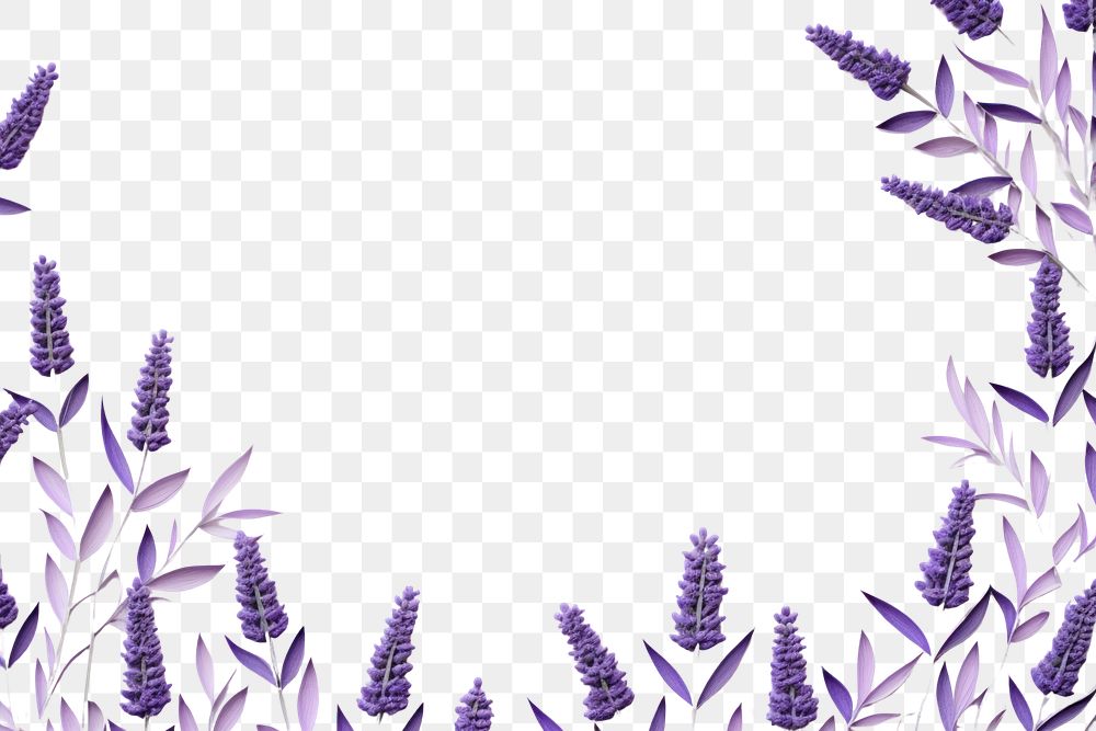PNG  Lavender origami border lavender flower backgrounds.