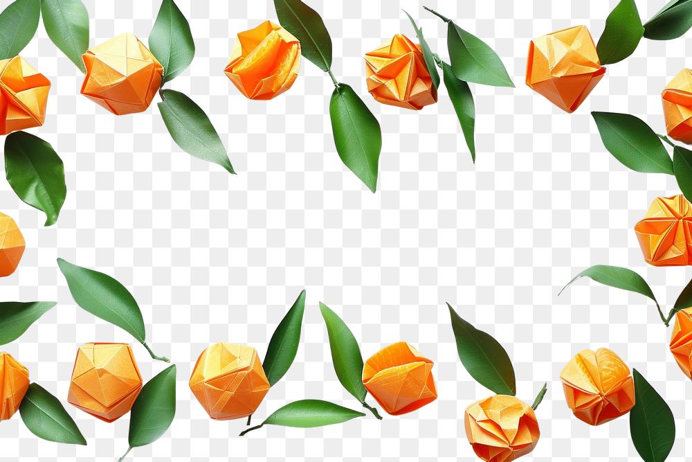 PNG Mandarin orange border origami backgrounds flower.