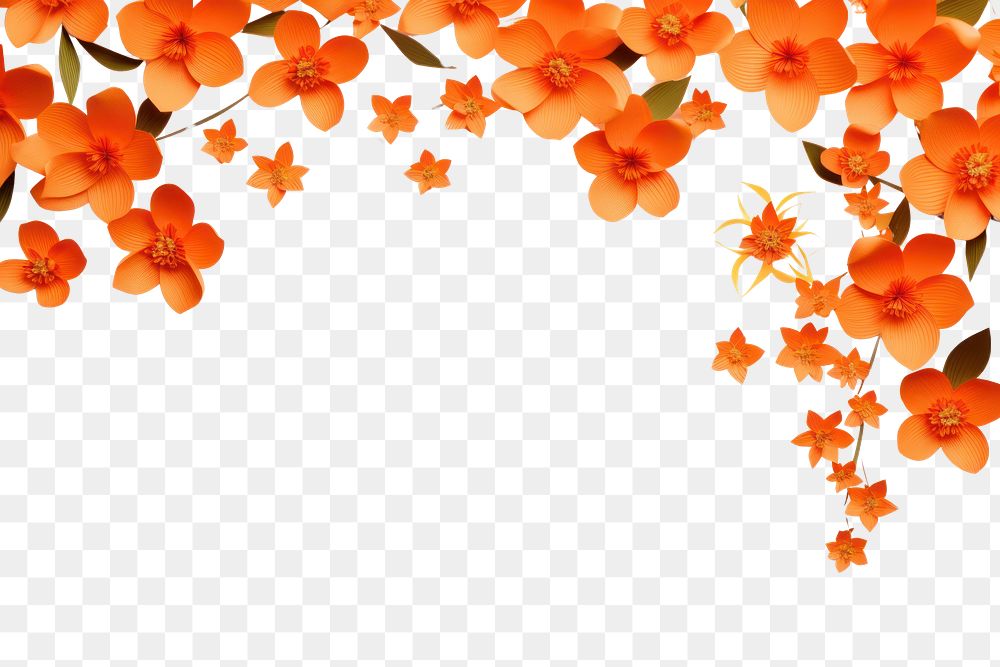 PNG  Orange flower border backgrounds petal plant.