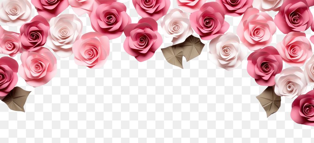 PNG  Rose border flower backgrounds petal.