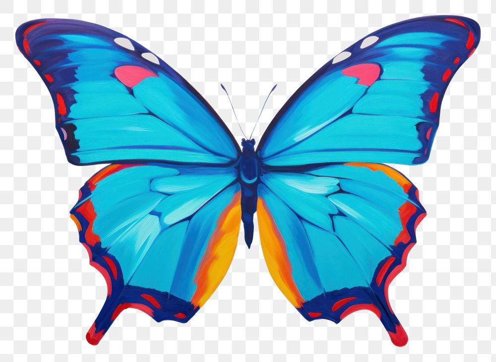 PNG Blue morpho butterfly painting animal insect.