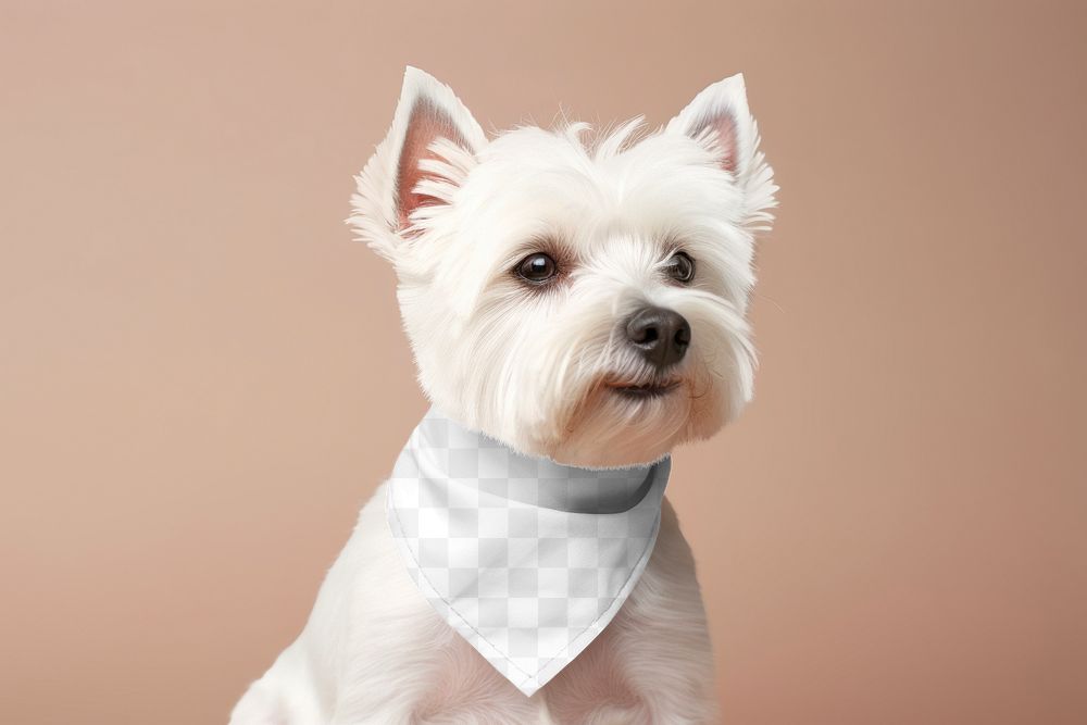Dog bandana png mockup, transparent design