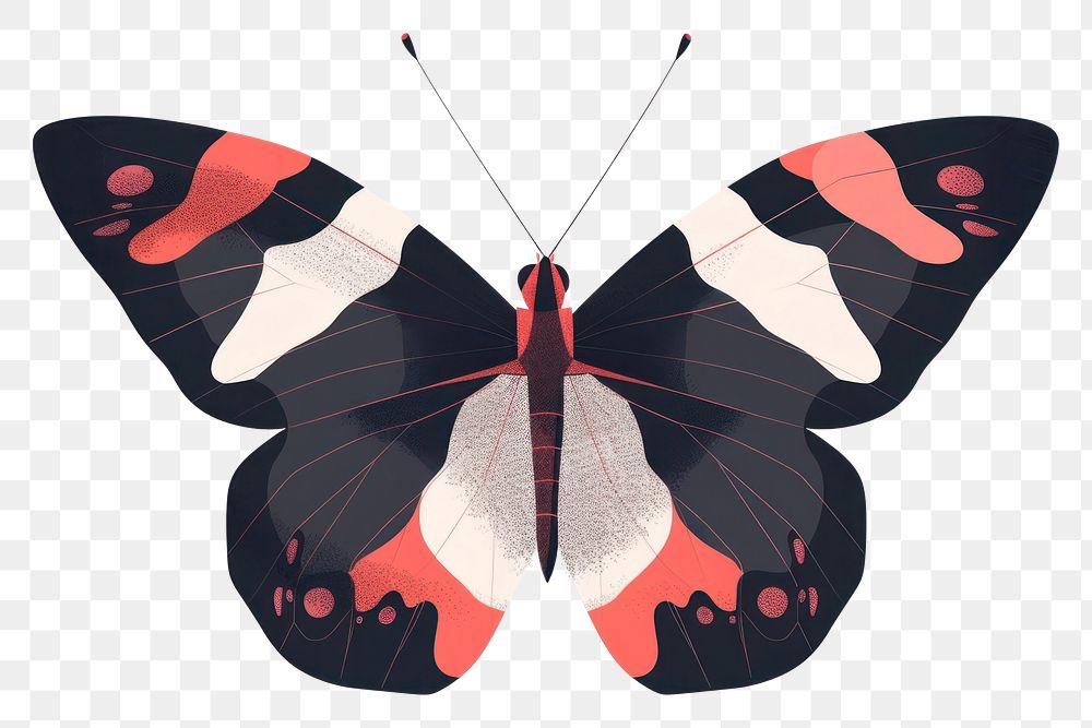 PNG Minimal geometric butterfly animal insect moth.