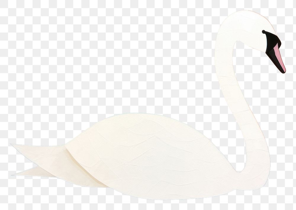 PNG Animal swan bird wildlife.