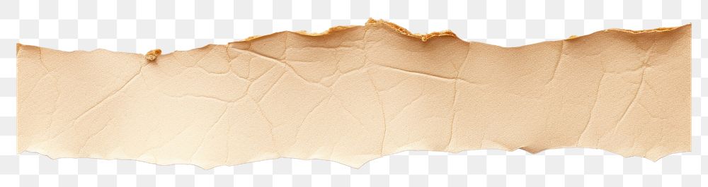 PNG  Ripped paper adhesive strip backgrounds leaf white background.