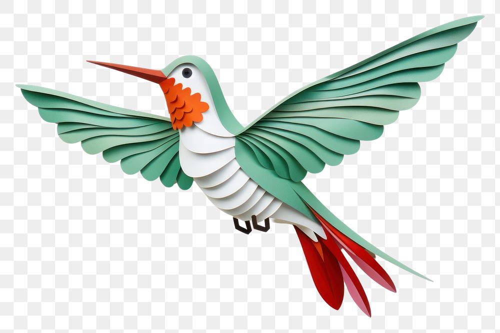 PNG Humming bird hummingbird animal flying.