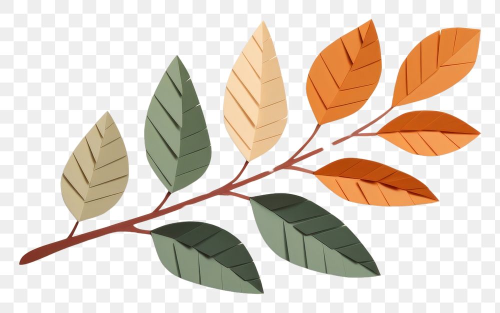 PNG Leaf plant tree art.