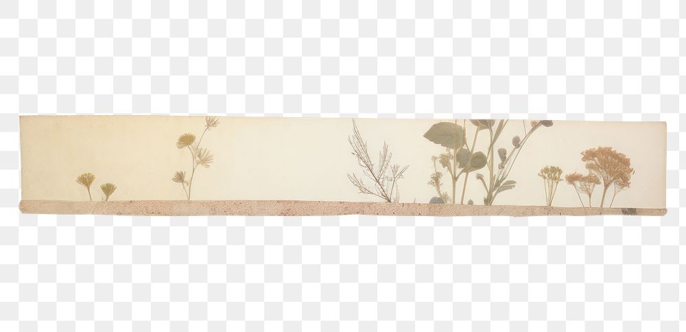 PNG Tape stuck on the nature pattern art white background.