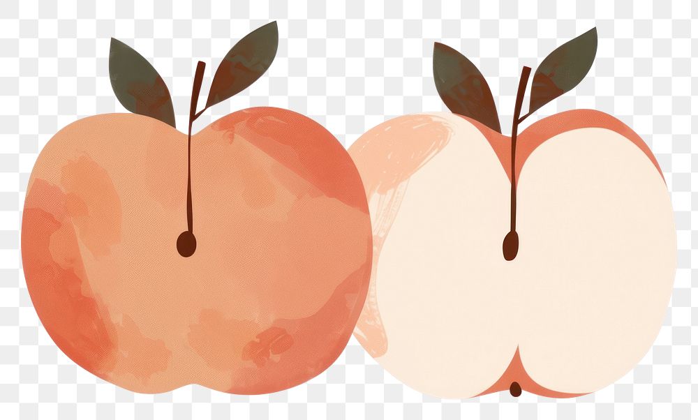 PNG Apple divider illustration peach fruit plant.