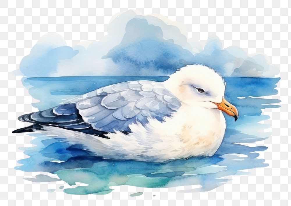 PNG Watercolor seagull sleeping animal outdoors cartoon.