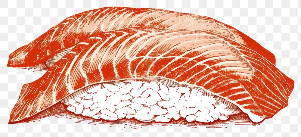 PNG Salmon sushi seafood salmon animal.