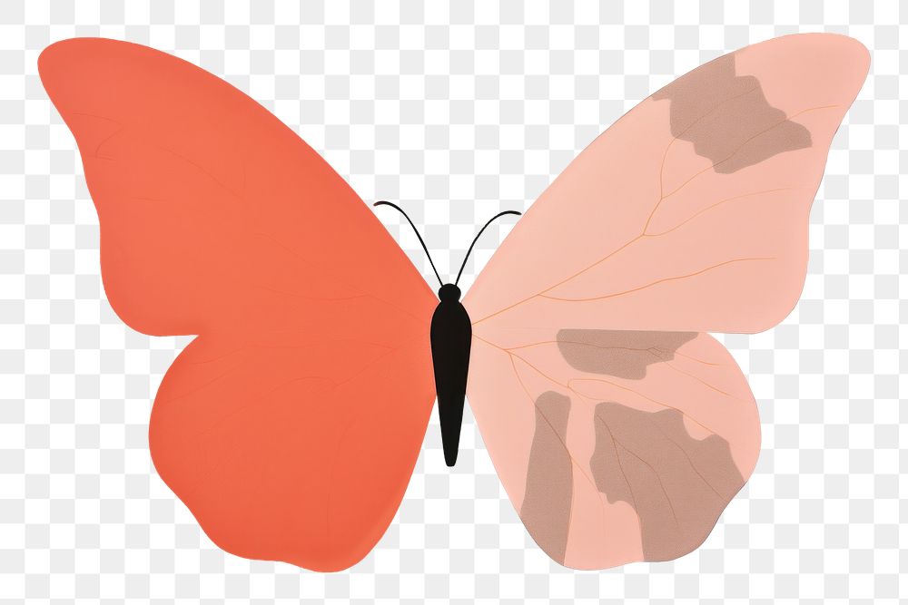 PNG Butterfly magnification invertebrate creativity.