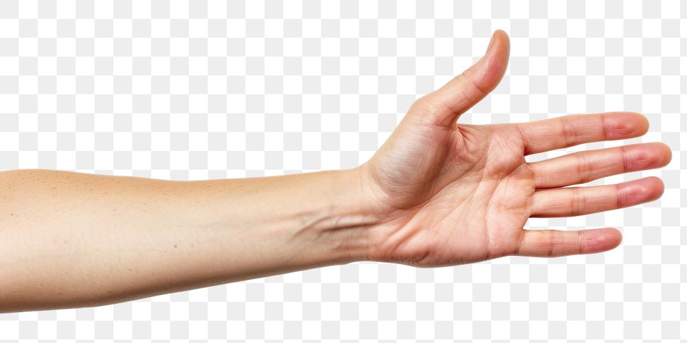 PNG Finger hand gesturing touching