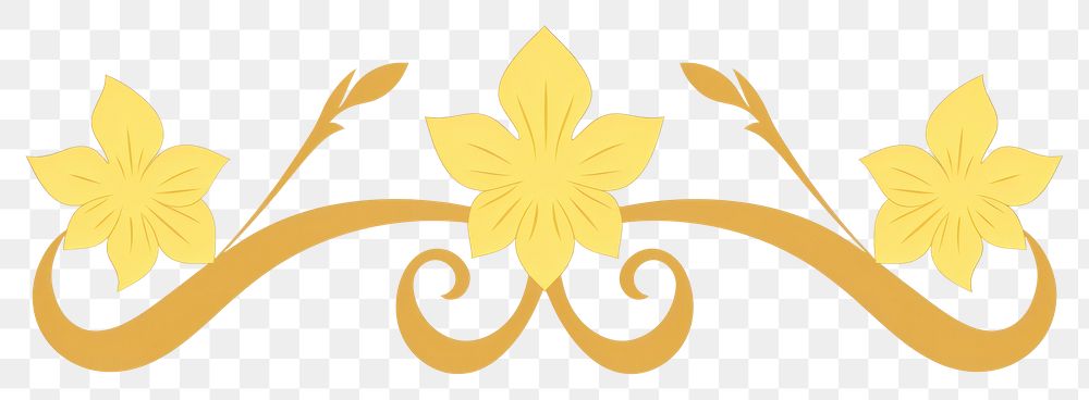 PNG  Daffodil divider ornament pattern flower white background.