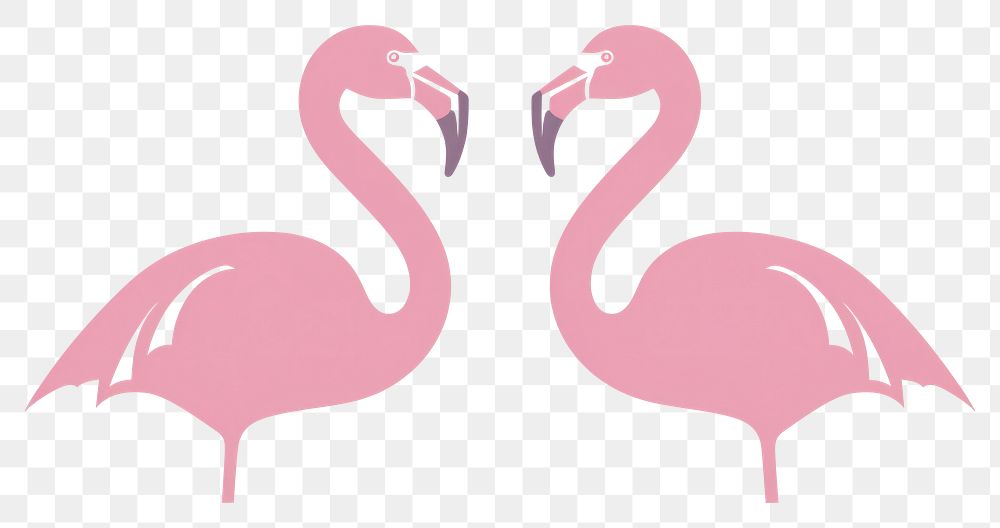 PNG  Flamingo divider ornament animal bird white background.
