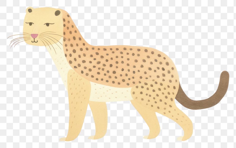 PNG Leopard character wildlife cheetah animal.