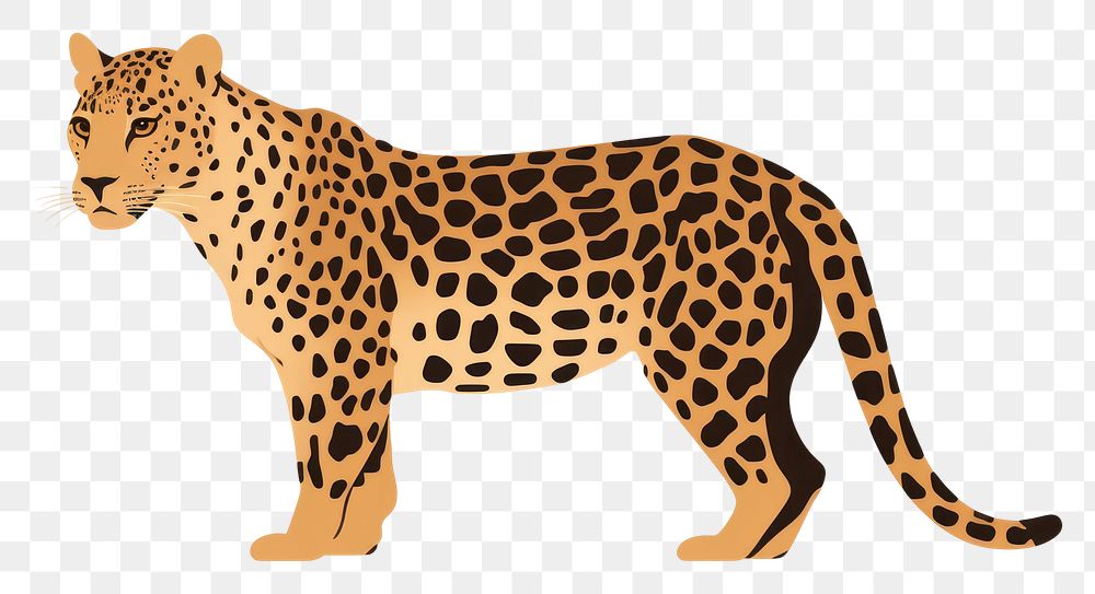 PNG Minimal Flat vector Aesthetic illustration of a simple leopard wildlife cheetah animal.