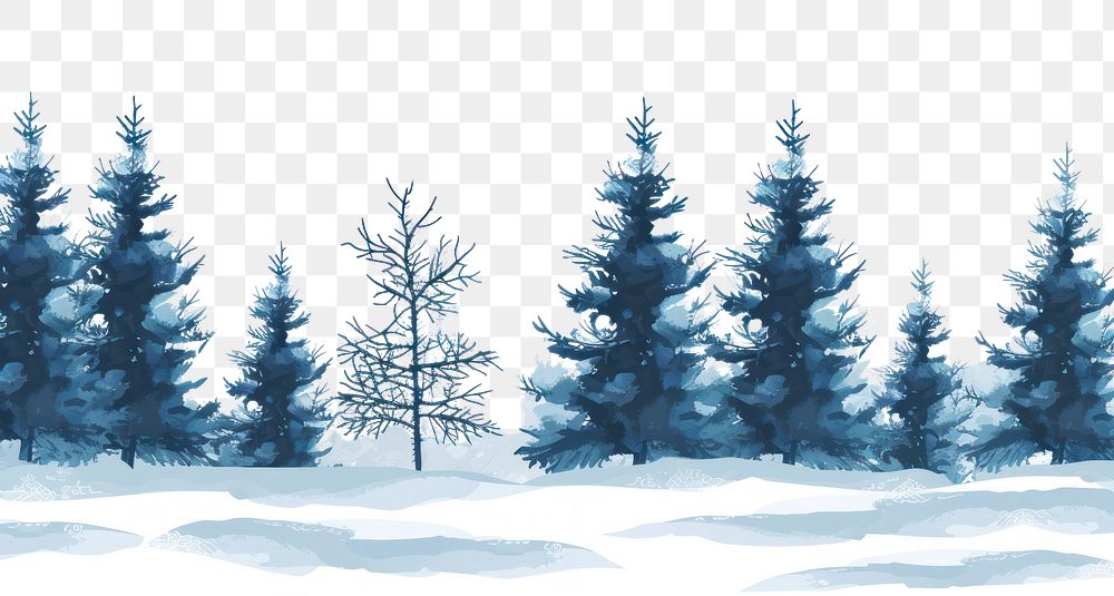 PNG  Winter forest backgrounds outdoors nature.