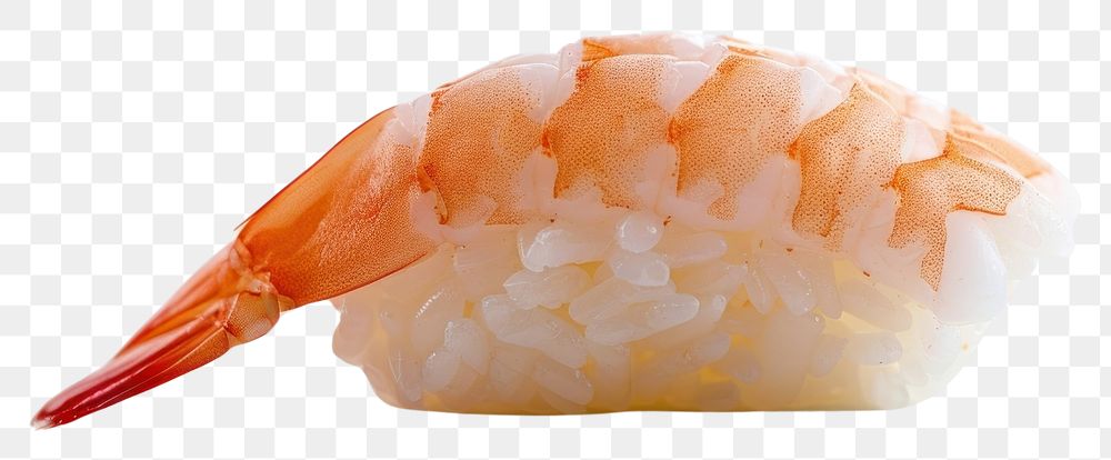 PNG Shushis seafood shrimp sushi.