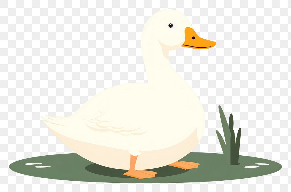 Animal goose bird duck.