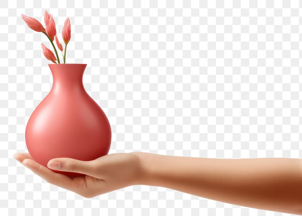 PNG Hand holding a vase adult plant creativity.