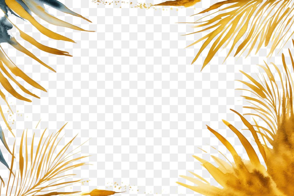 PNG Tropical border frame backgrounds sunlight outdoors.