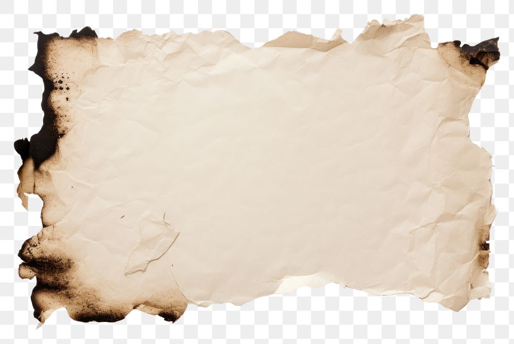 PNG  Burnt paper texture backgrounds torn white background