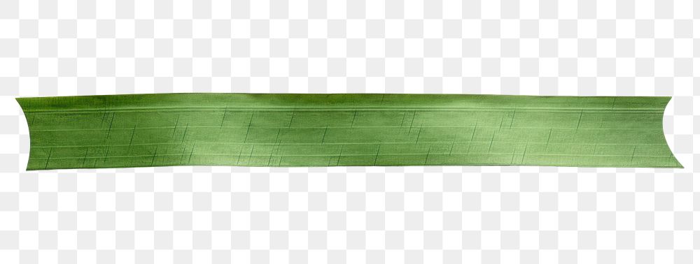 PNG Green lines adhesive strip plant leaf white background.