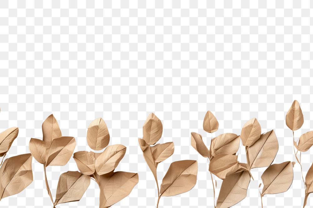 PNG Plant leaf origami branch.