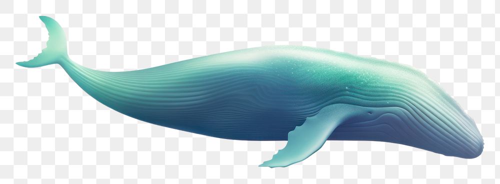 PNG  Abstract blurred gradient illustration Whale whale animal mammal.